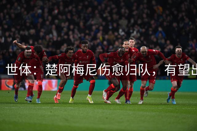 世体：楚阿梅尼伤愈归队，有望出战国米